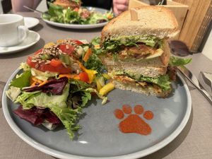   at Katzentempel - Bremen in Bremen