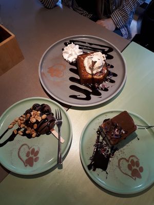  at Katzentempel - Bremen in Bremen