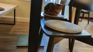  at Katzentempel - Bremen in Bremen