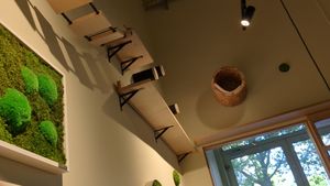  at Katzentempel - Bremen in Bremen