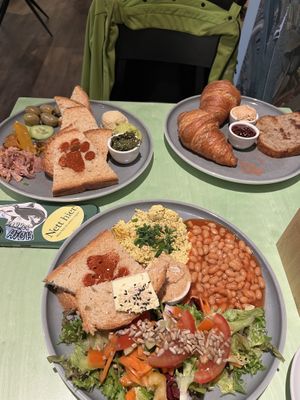   at Katzentempel - Bremen in Bremen