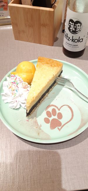  at Katzentempel - Bremen in Bremen