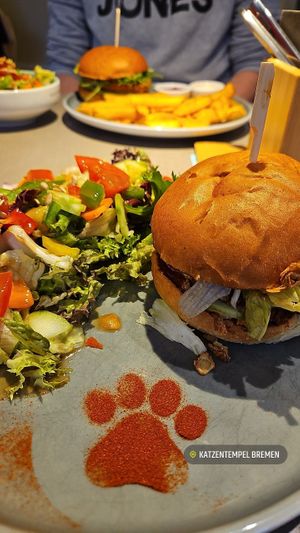 #Veganuary at Katzentempel - Bremen in Bremen