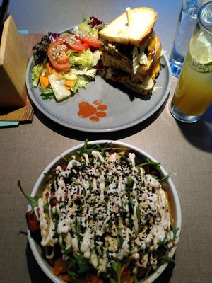 Sooooo lecker! #Veganuary at Katzentempel - Bremen in Bremen