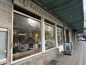 front  at Katzentempel - Bremen in Bremen