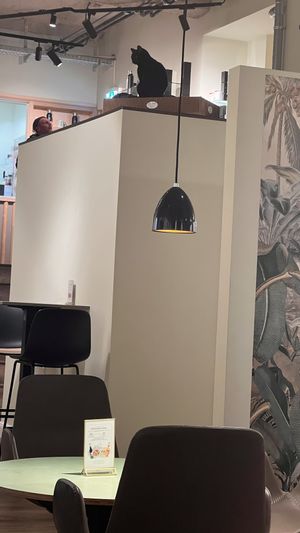   at Katzentempel - Bremen in Bremen