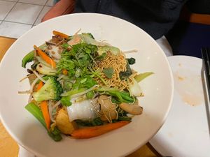 Chow mein with soft noodles. Good!  at Thien Tam in Toronto