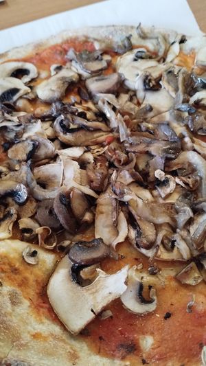 Vegan 3 mushroom pizza (no veg cheese available) at Danilo's Pizza in Eregli