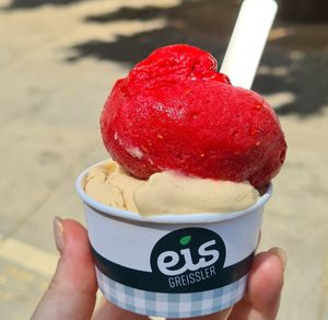  at Eis Greissler in Vienna