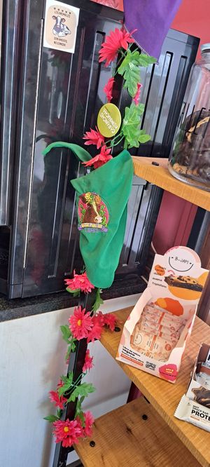  at Verde y Rebelde in Punta Arenas