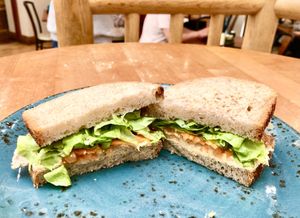 Hummus and chutney sandwich   at Camphill in Holywood