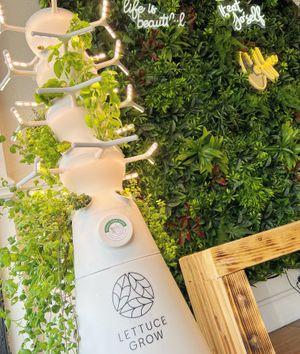  at Mama Chea Cafe in Davie