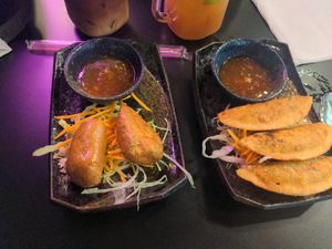 Vorspeisen: Seitan-Spieße und Gyoza at An Lac in Flensburg