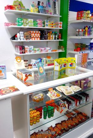 Veggie4U at Veggie4U in The Hague