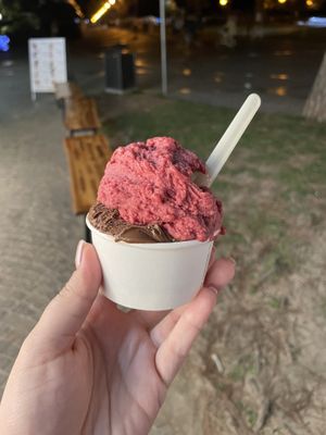   at GELAGRADO in Grado