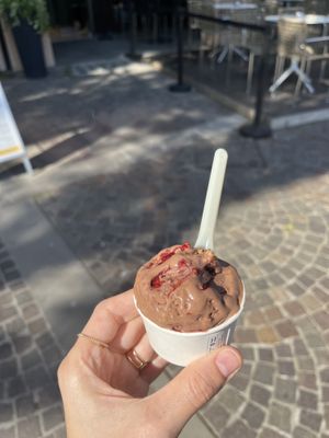   at GELAGRADO in Grado