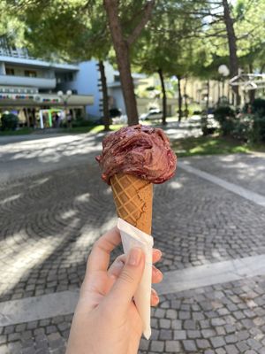   at GELAGRADO in Grado