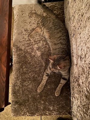  at Bisschen Beißen in Vienna