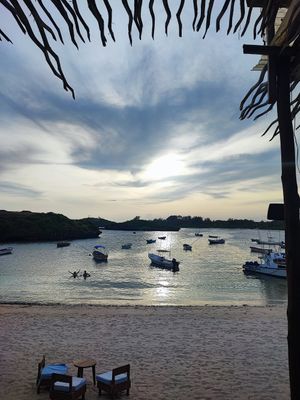 View at Kokomo Beach Bar and Restaurant in Watamu