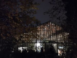  at Sera Eden in Bucharest