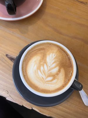   at Barista's Club in Bilbao