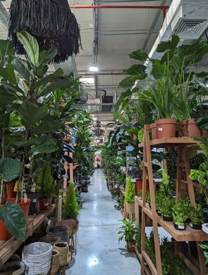 Located inside the garden centre at Harvest and Co in Dubai