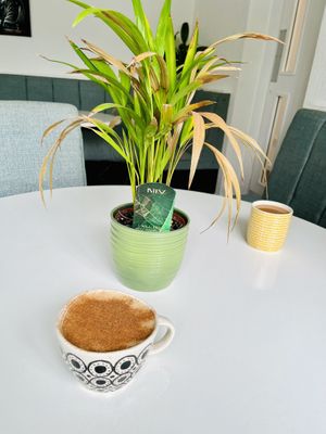 Chai lattee  at Canalside Kitchen in Wolverhampton