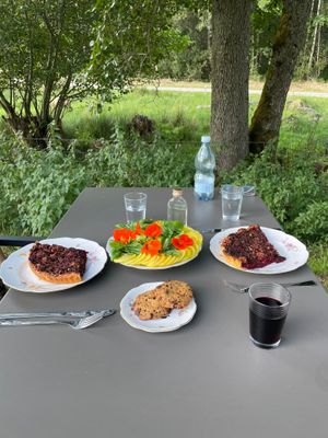 Beetroot pie with tomato salad and chocolate chip cookies at Les Jardins de Biffontaine in Biffontaine