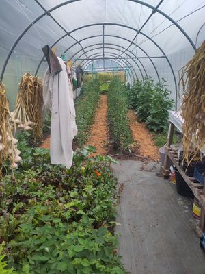 The greenhouse at Les Jardins de Biffontaine in Biffontaine