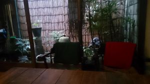 garden from table at Kyoto Cafe Shijo Nishinotoin in Kyoto