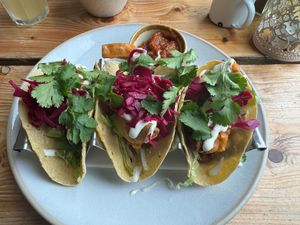 Oyster mushroom tacos at The Green Rocket Cafe in Bath