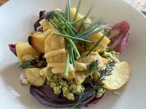 Scandinavian warm salad of roast potato, tofu, horseradish, onion and endive  at The Green Rocket Cafe in Bath