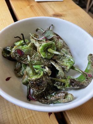   at The Green Rocket Cafe in Bath