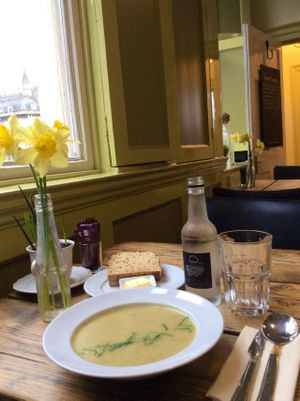 Soup of the day at The Green Rocket Cafe in Bath