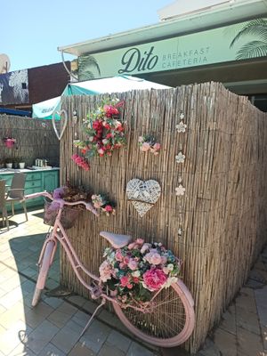  at Dito Cafeteria Sa Coma in Mallorca