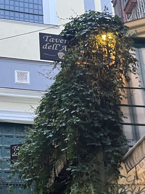 Outside  at Taverna dell'Arte in Naples