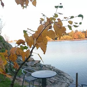  at Cafe Metsäpaahtimo in Helsinki