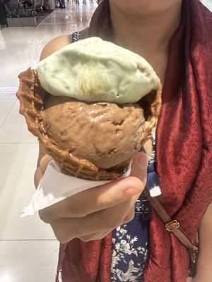   at V are Vegan in New Delhi