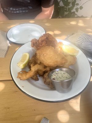   at Funga in Buenos Aires