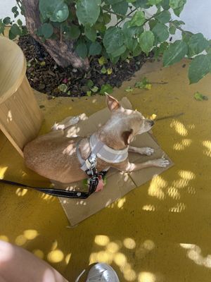   at Funga in Buenos Aires