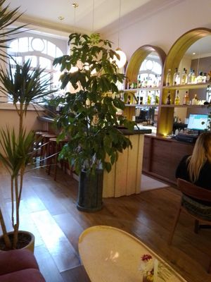 Bar at El Mundo Restaurante in Mexico City