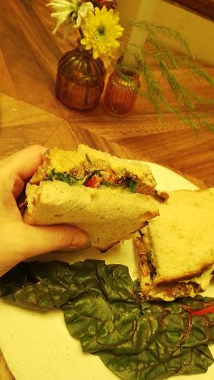 Big portions at El Mundo Restaurante in Mexico City