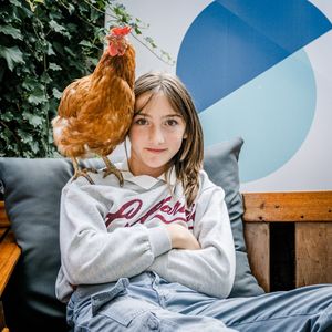  at Seenswert - Vegane Pension und Ferienwohnungen am Ammersee in Paehl