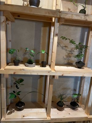 Private room at KUKI Vegan in Kuala Lumpur