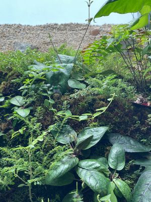  at KUKI Vegan in Kuala Lumpur