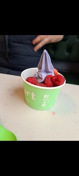 Blueberry frozen yogurt and berries at Frurt in Manchester