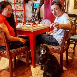 Pet friendly 🐶💚 at Los Padmitos - San Marcos in Quito