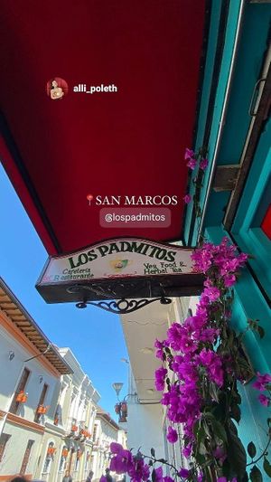  at Los Padmitos - San Marcos in Quito