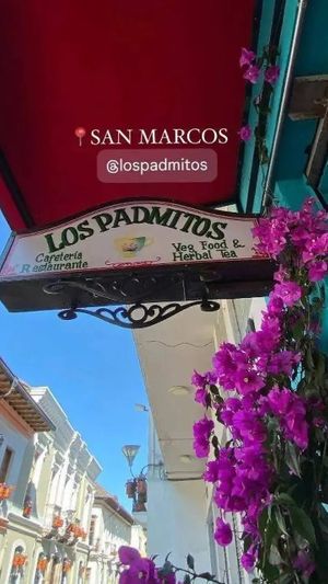Lovely vegan restaurant at Los Padmitos - San Marcos in Quito