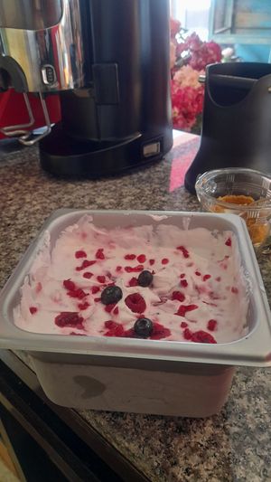 Jeronimo's ice-cream at Los Padmitos - San Marcos in Quito